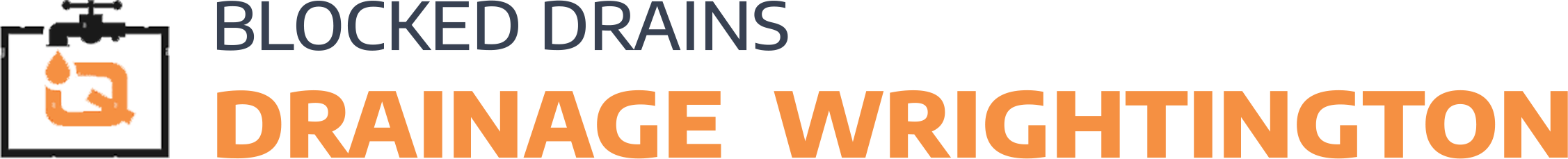 website logo